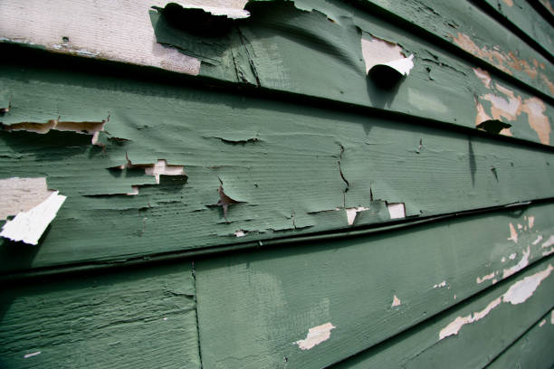 Shed Removal in Hollywood, SC