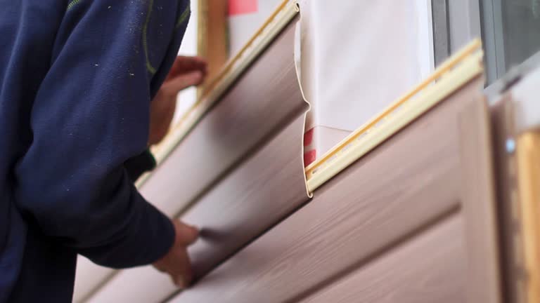 Best Same-Day Junk Removal Services  in Hollywood, SC